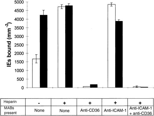 Fig. 4. Receptor dependency of heparin-enhanced adhesion on HDMEC. / IE adherence to resting (□) and TNF-activated HDMEC (▪) was examined in the presence of 100 μg/mL heparin by using anti-CD36 8A6 and anti–ICAM-1 15.2 monoclonal antibodies (mAbs) to block specific engagement of one or both CD36 and ICAM-1 receptors. Binding was compared with a control from which heparin was absent. Results are the mean ± SD value for triplicate points from 1 of 2 experiments.