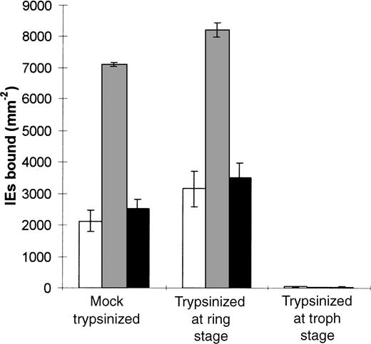Fig. 6. Sensitivity of heparin-enhanced adhesion to trypsin. / With use of the parasite line A4, IE adhesion to resting HDMEC in the absence of any additive (□) or the presence of 100 μg/mL heparin () or 100 μg/mL chondroitin sulfate (▪) was compared in 3 sets of synchronized cultures that had been mock trypsinized, pretrypsinized during early ring-stage development, or trypsinized immediately before use during late-trophozoite-stage development. Results are the mean ± SD value for triplicate points from a single experiment.
