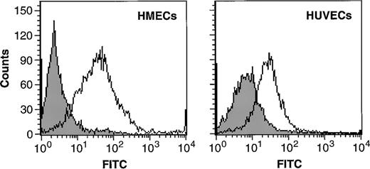 Fig. 2. HMECs and HUVECs express CCR2. / Flow cytometric analysis of CCR2 expression on the cell surface of HMECs and HUVECs. Cells were incubated with either IgG control (filled histograms) or with CCR2 Ab (empty histograms). The figure shows binding of the antibody to CCR2 compared with that of the negative control.