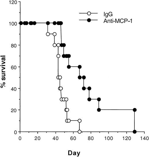 Fig. 6. Blocking MCP-1 increases the survival of SCID mice bearing MDA-231 human breast carcinoma cells. / MDA231 human breast cancer cells (3 × 105) were injected intravenously on day 1. Antibodies, including rabbit IgG and anti-MCP-1 (25 μg/mouse, 1 mg/kg), were given intraperitoneally to the mice on days 4, 8, 12, 16, 20, 24, and 28. Ten mice were included in each group. Their survival was monitored daily. The differences in the median values among the 2 groups are greater than would be expected by chance. There is a statistically significant difference (P < .024) as assessed by the log-rank test. One representative experiment of 3 experiments is shown.