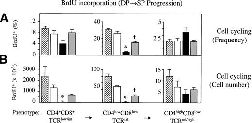 Fig. 5. Impaired cell cycle progression of DP thymocytes during GVHD. / Acute and chronic GVHD was induced in unirradiated B6D2F1mice. Syngeneically transplanted or naive B6D2F1 mice served as non-GVHD controls. Three developmental stages along the DP→SP differentiation pathway were analyzed at 2 weeks after transplantation for the incorporation of BrdU into cellular DNA. (A) Frequencies (%; mean ± SEM) and (B) absolute cell numbers (×10−3) of cycling cells among DP thymocytes were assessed by flow cytometry of thymocytes from untransplanted (▨) or syngeneically transplanted (□) B6D2F1 mice and from mice with acute (▪) and chronic () GVHD, respectively. The graph represents pooled data from 3 independent experiments; 4 to 7 mice were analyzed for each group. *P < .2 versus mice with chronic GVHD and syngeneic controls, respectively.†P < .02 versus syngeneic controls (ANOVA).