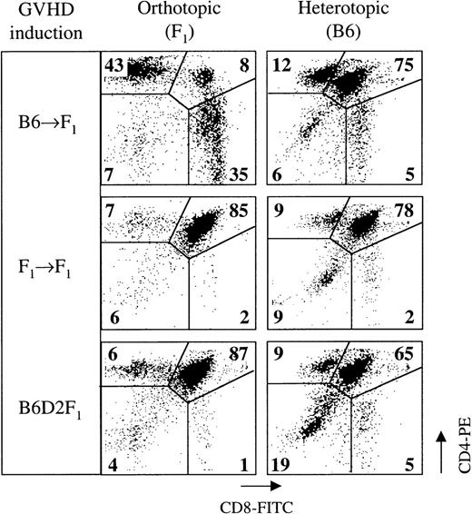 Fig. 6. A heterotopically transplanted thymus syngeneic to donor splenocytes is not a target of acute GVHD. / A single thymic lobe from neonatal B6 mice was transplanted aseptically under the left kidney capsule of B6D2F1 mice. Forty-eight hours later, GVHD was induced in organ-transplanted mice by the infusion of 50 × 106 B6 splenocytes. In this setting, the orthotopic thymus is allogeneic, whereas the heterotopic thymus is syngeneic to the donor inoculum. Thymocytes were analyzed for surface expression of CD4 and CD8 by flow cytometry on day 14 after GVHD induction (day 16 after thymus transplantation). Numbers within the flow cytometry plots represent mean frequencies (%) of the respective populations among all live thymocytes. The graph is representative of 1 experiment; 2 to 3 mice were analyzed for each group.