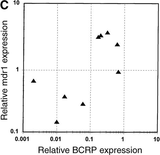 Fig. 1. BCRP and MDR1 mRNA expression in blast cells. / (A) Expression of BCRP mRNA in blast cell samples from 21 patients with acute leukemia, determined by RT-PCR, as described in “Study design.” Data are expressed relative to the expression of BCRP mRNA in MCF-7 cells, after correction for the expression of β-actin mRNA in the sample, and are arranged in the figure in the order of magnitude of BCRP expression. The numbers given in the figure refer to the median values of BCRP expression for each quartile. Patient sample number is a unique identifier for each patient in the study. (B) Expression of MDR1 mRNA in blast cell samples from 9 patients with acute leukemia, determined by RT-PCR, as described in “Study design.” Data are expressed relative to the expression of MDR1 mRNA in HL-60/Vinc cells (× 10−7), after correction for the expression of β-actin mRNA in the sample. (C) Correlation of the expression of MDR1 mRNA with the expression of BCRP mRNA in blast cells from 9 acute leukemia patients. BCRP mRNA expression is reported relative to MCF-7 cells. MDR1 mRNA expression is reported relative to HL-60/Vinc cells (× 10−7).