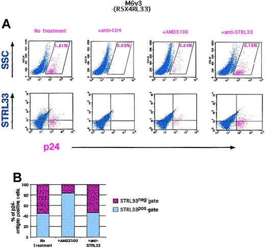 Fig. 7. HIV-1 infection of homozygous ccr5▵32 PBLs. / We stimulated ccr5Δ32 PBLs with PHA/IL-2 and infected with approximately 1200 TICD50 units of M6-v3 in the presence or absence of the indicated amounts of antibodies or the CXCR4 antagonist (AMD3100). The cells were stained for cell surface STRL33 and intracellular p24 antigen 1 week after infection. The p24-antigen–positive gate was defined as the region giving less than 0.01% of p24-antigen–positive cells when the p24-antigen antibody was used on uninfected donor cells (negative control). The p24-antigen–positive cells are indicated in red. (A) Upper panel: The percent of p24-antigen–positive cells in the presence or absence of the indicated antibodies or AMD3100 are shown in their respective dot-plots. Lower panel: The distribution of p24-antigen–positive cells in the STRL33+ or STRL33− gates under the same conditions. (B) Lower panel: Graphic representation of part A. The total number of p24-antigen–positive cells in the presence or absence of AMD3100 or the nonneutralizing anti-STRL33 antibody was normalized to 100%, and the proportion of p24-antigen–positive cells in the STRL33+ or STRL33− gates are shown.