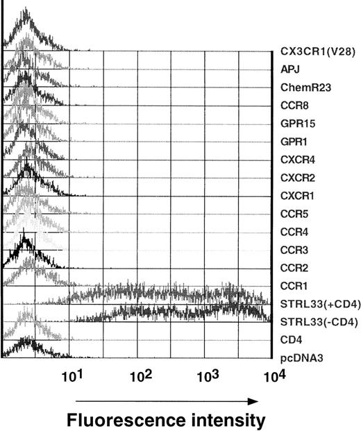 Fig. 1. Specificity of anti-STRL33 mAb 699. / 293T cells were transfected with CD4 and/or the chemokine/orphan receptor constructs listed in the figure. Transfected cells were lifted off the plate with 5 mmol/L EDTA 18 hours after transfection and were stained with PE-conjugated anti-STRL33 antibody as indicated in “Materials and methods.” Data are representative of 2 independent experiments.