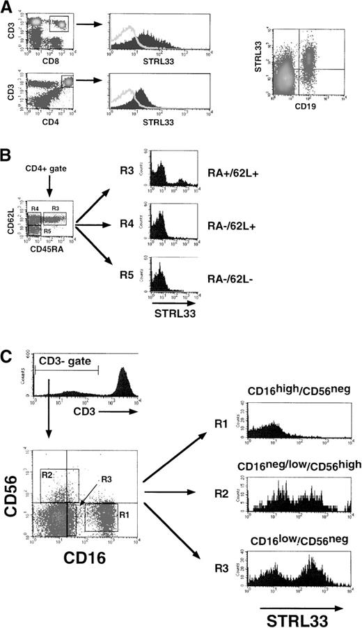 Fig. 2. STRL33 expression on PBMCs. / We used 4-color FACS analysis to identify the various subpopulations of PBMCs indicated. Fresh whole blood was stained with fluorochrome-conjugated mAb within an hour of venupuncture, and FACS analysis was performed after ammonium chloride–mediated selective red blood cell lysis. STRL33 expression on (A) bulk CD4+, CD8+ T cells (CD3+), and CD19+ B cells; (B) CD4+ naive (CD45RA+/CD62L+) or memory (CD45RA−) T cells; and (C) NK cell subsets (R1, R2, and R3).