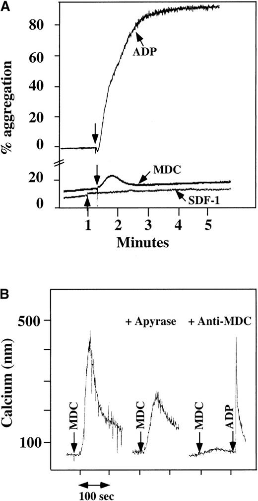 Fig. 1. Platelet aggregation using chemokine agonists. / (A) Platelet aggregation data using human washed platelets. Platelets were stimulated with 100 nmol/L chemokine (as shown) or 10 μmol/L ADP in the presence of 1 mmol/L CaCl2 and 200 μg/mL fibrinogen. (B) Ca++–flux data using Fura-2–loaded washed platelets involving 30 nmol/L MDC activation. This activation was inhibited by prior incubation of the platelets with 20 U/mL apyrase, as shown in the middle of the figure. The activation specificity is shown by the ability of 20 μg/mL anti-MDC antibody to block MDC-induced platelet activation, as shown on the right side of the figure.
