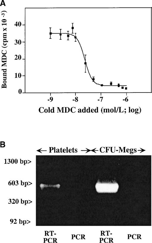 Fig. 2. Presence of CCR4 on megakaryocytes and platelets. / (A) Unlabeled MDC competition study of 125I-MDC binding to nonactivated platelets. The number of binding sites (approximately 4000 sites per platelet), with a kd of 30 nmol/L, were determined as described in “Material and methods.” (B) RT-PCR data from megakaryocytes and platelets shows the presence of a detectable CCR4 message in both. The anticipated 500–base pair (500-bp) band is seen in both platelet and megakaryocyte RT-PCR. Platelet preparation was the same for both Figures 2 and 3.