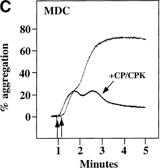 Fig. 4. Characterization of the intracellular mechanism(s) by which SDF-1 and MDC activate platelets in PRP. / The figure demonstrates the ability of 500 μmol/L aspirin to inhibit the secondary wave of plasma platelet aggregation stimulated by 100 nmol/L (A) MDC (B) or SDF-1. The inclusion of the ADP scavenger, 10 mmol/L creatine phosphate, plus 10 U/mL creatine phosphokinase (CP/CPK) inhibits platelet activation stimulated by (C) 100 nmol/L MDC but not by (D) 100 nmol/L SDF-1.