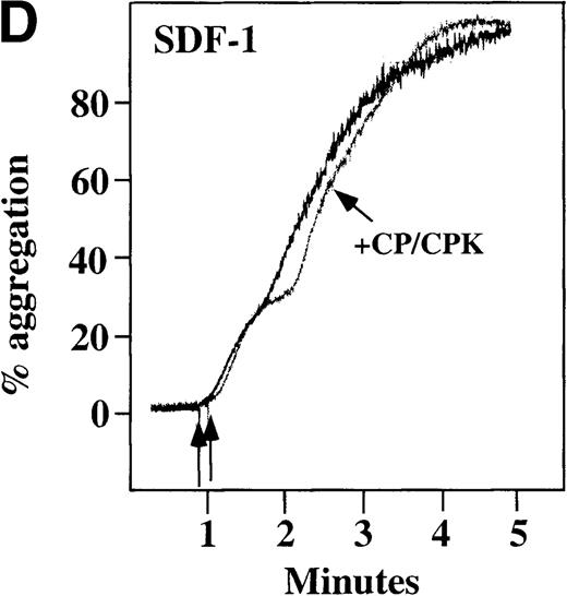 Fig. 4. Characterization of the intracellular mechanism(s) by which SDF-1 and MDC activate platelets in PRP. / The figure demonstrates the ability of 500 μmol/L aspirin to inhibit the secondary wave of plasma platelet aggregation stimulated by 100 nmol/L (A) MDC (B) or SDF-1. The inclusion of the ADP scavenger, 10 mmol/L creatine phosphate, plus 10 U/mL creatine phosphokinase (CP/CPK) inhibits platelet activation stimulated by (C) 100 nmol/L MDC but not by (D) 100 nmol/L SDF-1.