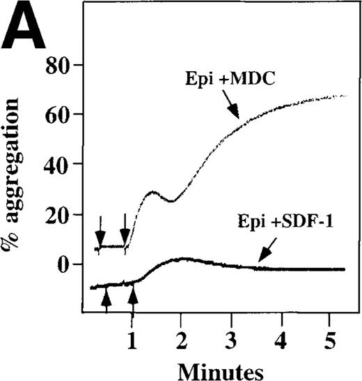 Fig. 7. Synergistic effect of SDF-1 and MDC on washed platelet aggregation. / (A) The synergistic effect of MDC and epinephrine (Epi) on platelet aggregation. At the first arrow, 1 μmol/L epinephrine was added, followed by 100 nmol/L MDC or SDF-1. (B) The synergistic effect of 100 nmol/L SDF-1 and 5 μmol/L 5HT. (C) Similarly, neither 100 nmol/L SDF-1 nor MDC induced platelet aggregation, but the 2 agonists added together induced full aggregation of washed platelets.