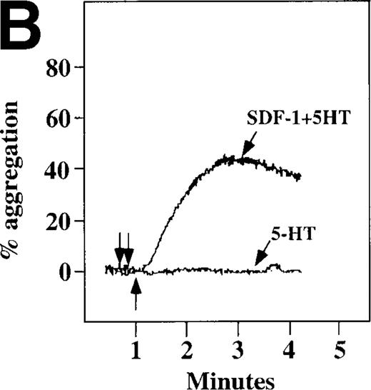 Fig. 7. Synergistic effect of SDF-1 and MDC on washed platelet aggregation. / (A) The synergistic effect of MDC and epinephrine (Epi) on platelet aggregation. At the first arrow, 1 μmol/L epinephrine was added, followed by 100 nmol/L MDC or SDF-1. (B) The synergistic effect of 100 nmol/L SDF-1 and 5 μmol/L 5HT. (C) Similarly, neither 100 nmol/L SDF-1 nor MDC induced platelet aggregation, but the 2 agonists added together induced full aggregation of washed platelets.