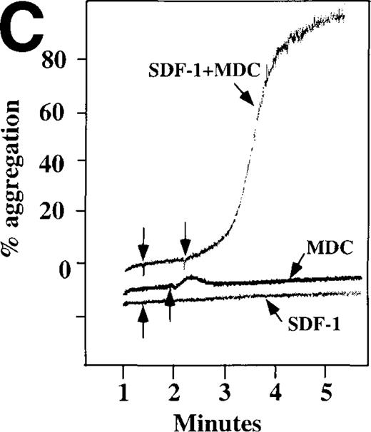 Fig. 7. Synergistic effect of SDF-1 and MDC on washed platelet aggregation. / (A) The synergistic effect of MDC and epinephrine (Epi) on platelet aggregation. At the first arrow, 1 μmol/L epinephrine was added, followed by 100 nmol/L MDC or SDF-1. (B) The synergistic effect of 100 nmol/L SDF-1 and 5 μmol/L 5HT. (C) Similarly, neither 100 nmol/L SDF-1 nor MDC induced platelet aggregation, but the 2 agonists added together induced full aggregation of washed platelets.