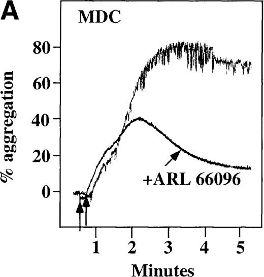 Fig. 8. Effect of ADP antagonists ARL 66096 and A3P5PS on plasma platelet aggregation induced by SDF-1 and MDC. / Platelets in PRP were preincubated with a specific ADP antagonist and stimulated with 100 nmol/L MDC. (A) The second wave of MDC-induced platelet aggregation was inhibited by 1 μmol/L ARL 66096, (B) while 100 μmol/L A3P5PS had only a slight inhibitory effect. In contrast, aggregation induced by SDF-1 is only slightly affected by (C) ARL 66096 or (D) A3P5PS.