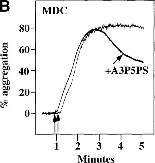 Fig. 8. Effect of ADP antagonists ARL 66096 and A3P5PS on plasma platelet aggregation induced by SDF-1 and MDC. / Platelets in PRP were preincubated with a specific ADP antagonist and stimulated with 100 nmol/L MDC. (A) The second wave of MDC-induced platelet aggregation was inhibited by 1 μmol/L ARL 66096, (B) while 100 μmol/L A3P5PS had only a slight inhibitory effect. In contrast, aggregation induced by SDF-1 is only slightly affected by (C) ARL 66096 or (D) A3P5PS.