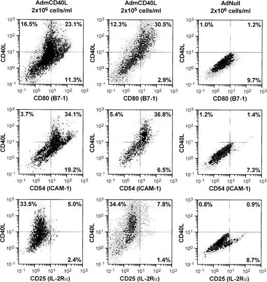 Fig. 1. Accessory molecules expressed by AdmCD40L-modified DCs. / Bone marrow-derived DCs were transduced with AdmCD40L or AdNull at moi 40 for 4 hours, and cultured at 2 × 106 or 2 × 105 cells/mL for 72 hours. The modified DCs were then analyzed for surface coexpression of CD40L with CD80 (B7-1), CD54 (ICAM-1), or CD25 (IL-2 receptor α-chain) by 2-color flow cytometry. The percentage of cells in each quadrant is listed.