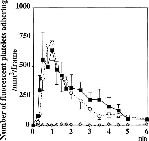 Fig. 2. Resting platelets adhere to vWF in activated mesenteric venules. / Topical superfusion of A23187 on mesenteric venules induced the same platelet adhesion in WT (▪) and P−/− mice (○), n = 5 and n = 7, respectively. This process was absent in vWF−/− mice (, n = 10, P < .001 vs WT mice for 6 minutes after A23187treatment). Values were determined on a 250-μm long, 150-μm wide vessel segment and were translated as the number of adherent fluorescent platelets/mm2·frame (see “Materials and methods”).