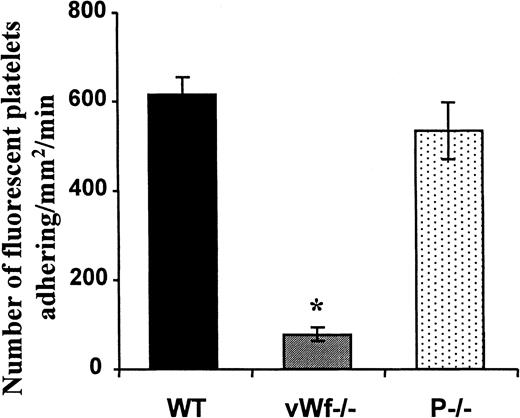Fig. 4. Resting platelets adhere to vWF in histamine-treated mesenteric venules. / Histamine (1 mmol/L) was injected intraperitoneally into recipient mice. Ten minutes later, washed and fluorescently labeled platelets from WT, P−/−, and vWF−/− mice were transfused into recipient mice of the same genotype. Analysis of the platelet–vessel wall interactions started immediately after platelet transfusion. The number of adherent fluorescent platelets/mm2·min, determined in a 4-minute period, was averaged from 4 to 6 venules in each animal. n = 4 to n = 6 animals; *P < .001 vWF−/− vs WT or P−/− mice.