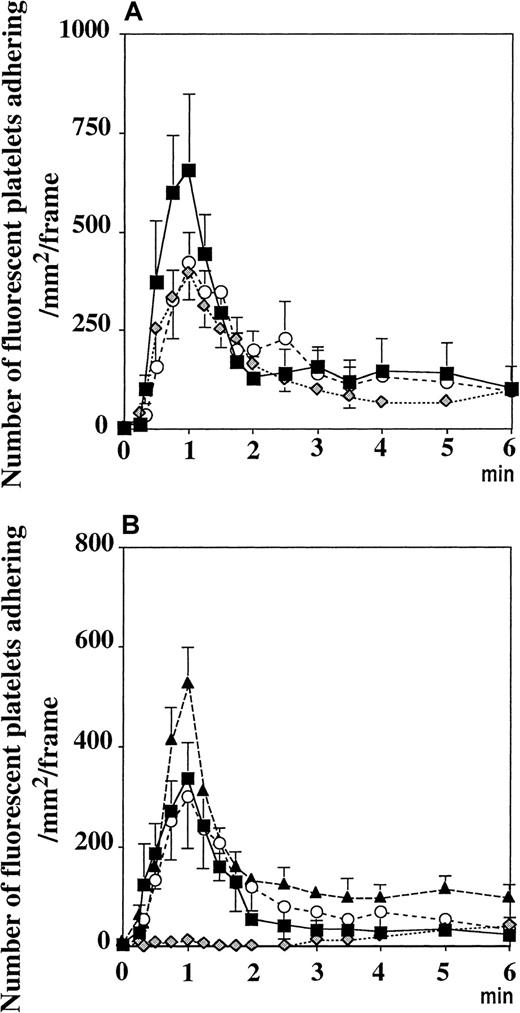 Fig. 5. Platelets adhere to vWF released from activated endothelial cells in venules through the GPIbα receptor. / (A) Incubation of washed platelets with antibodies directed against PECAM-1 (○) or PSGL-1 () did not affect their adhesion on mesenteric venules superfused withA23187. Similarly, β3−/− platelets transfused into β3−/− recipient mice adhered normally (▪). (B) Fluorescent P−/− platelets adhered to the activated vessel wall of GPIbα-deficient mice (▴), as did platelets with human GPIbα onto P−/− venules (○). Mocarhagin treatment of mGPIb−/−;TghGPIb platelets (), but not WT platelets (■), prevented the adhesion process. Values are expressed as number of adherent fluorescent platelets/mm2·frame (see “Materials and methods”).