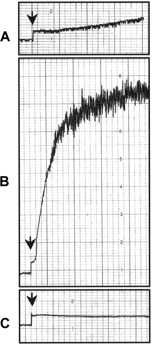 Fig. 6. Effect of mocarhagin on ristocetin-induced platelet aggregation in mGPIb−/−;TghGPIb mice. / Ristocetin is an antibiotic that causes platelet aggregation of human but not mouse platelets in the presence of human vWF.25Washed platelets (3 × 108) from WT mice (A) or mGPIb−/−;TghGPIb mice (B) were treated under stirring conditions (1000 rpm) at 37°C in a lumi-aggregometer, with 1.5 mg/mL ristocetin and 5 μg/mL multimeric human vWF. (C) Washed mGPIb−/−;TghGPIb platelets were incubated with 10 μg/mL mocarhagin before ristocetin treatment. Aggregation was followed for 2 minutes.