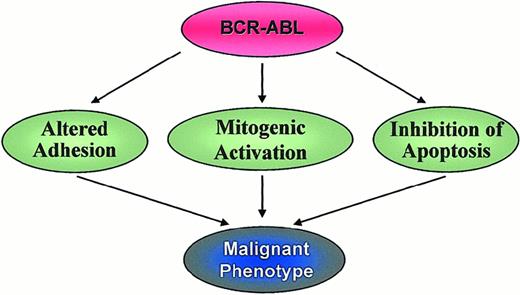 Fig. 5. Mechanisms implicated in the pathogenesis of CML.