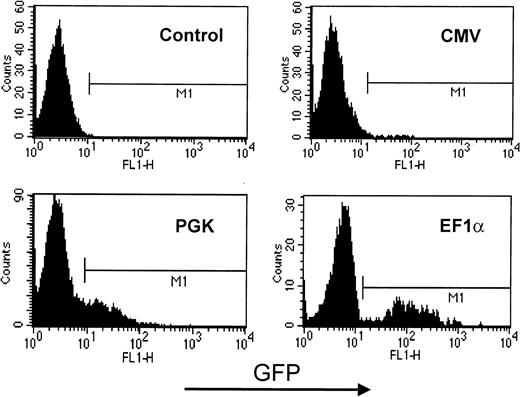 Fig. 4. GFP expression in lentivector-transduced primary human T lymphocytes. / CMV-, PGK-, or EF1α-containing HIV-derived vectors were used to infect PHA-activated primary T lymphocytes. Cells were maintained for 5 days in culture medium supplemented with IL-2 before analyzing GFP expression by flow cytometry. Two-dimensional plot represents cell number as a function of GFP levels. Results are representative of at least 5 independent experiments.