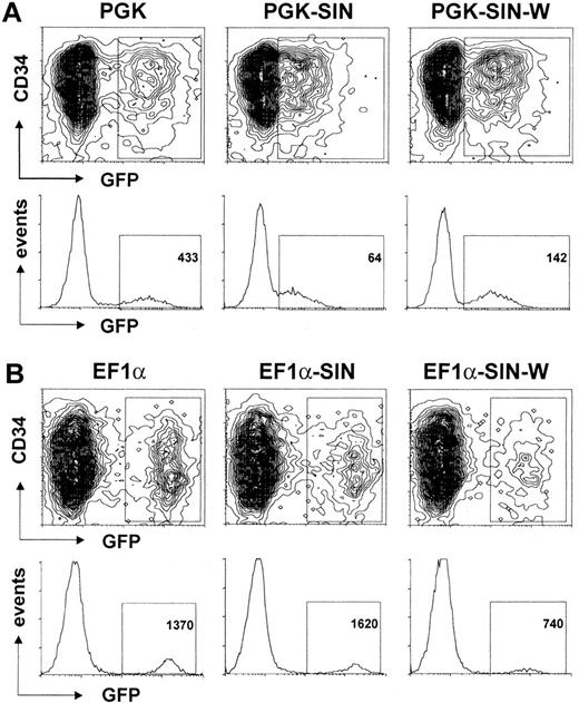 Fig. 5. Effect of SIN design and WPRE addition on transgene expression in human CD34+ cells. / A total of 105 CD34+ cells were transduced with 106 HeLa-TU of the indicated GFP-expressing HIV-derived vectors and analyzed by flow cytometry 4 days later. Vectors were as follows: (A) PGK (2 intact LTRs); PGK-SIN (3′ SIN-LTR deletion, see “Materials and methods”); PGK-SIN-W (addition of WPRE upstream of the 3′ SIN-LTR). (B) Same analysis as in A but with EF1α promoter instead of PGK promoter. Results are represented as contour graphs of CD34 expression versus GFP expression (4-log scale). For each condition, GFP expression is also displayed as histograms of GFP fluorescence intensity (x-axis, 4-log scale) versus number of cells (y-axis, linear). Number in square represents median of fluorescence intensity of GFP+ cells.