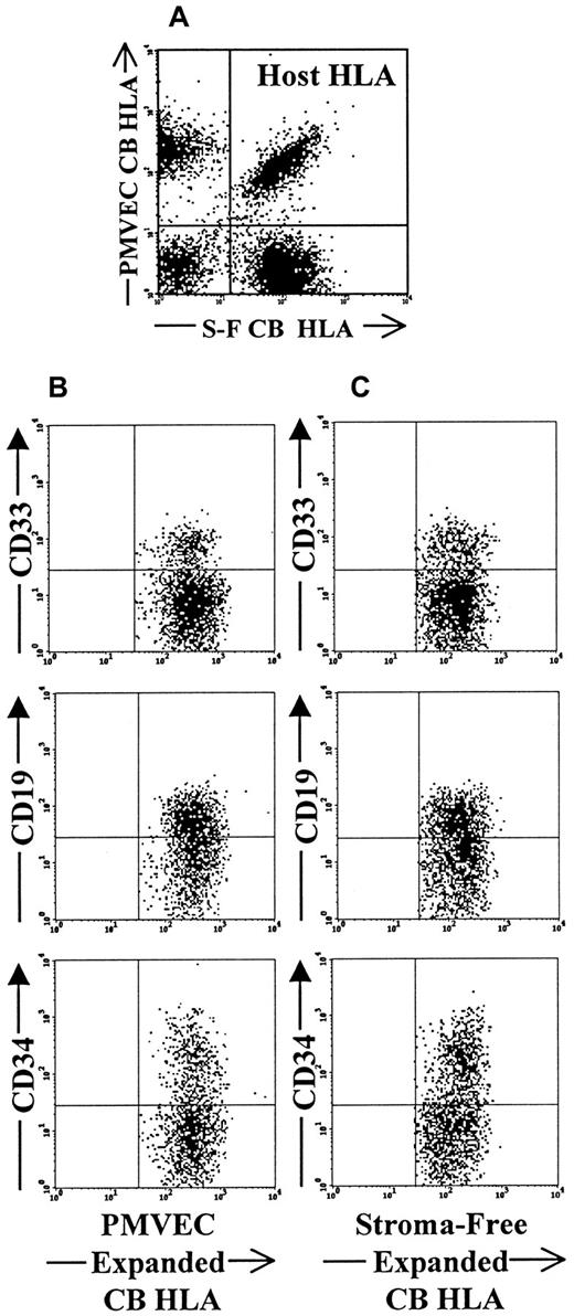Fig. 3. Flow cytometric analysis of competitive engraftment of PMVEC coculture and stoma-free culture-expanded CB CD34+cells in triple HLA-mismatched SCID-hu bone model. / (A) Dot-plot demonstrates the presence of 3 distinct HLA types within the same bone. Recipient-host cells in this case are double positive for each of the HLA markers (upper right quadrant of the plot). PMVEC coculture-derived cells lack the expression of stroma-free culture-derived HLA marker and are shown in the upper left quadrant of the plot. Stroma-free culture-derived cells do not express PMVEC coculture-derived cell HLA marker and are shown in the lower right quadrant of the plot. Panel B demonstrates the presence of CD33+ myeloid, CD19+ lymphoid, and CD34+ progenitor cells among PMVEC coculture-derived HLA marker-positive gated cells. Panel C documents presence of the same multiple hematopoietic lineages within the stroma-free culture derived population gate.