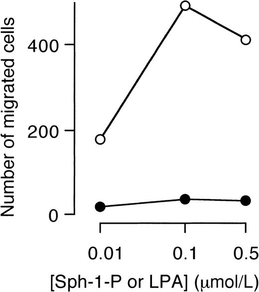 Fig. 10. Stimulation of HUVEC migration by Sph-1-P, but not by LPA. / Indicated concentrations of Sph-1-P (○) or LPA (●) were placed in the lower chamber, and HUVECs were allowed to migrate for 4 hours.