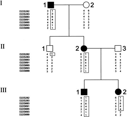 Fig. 2. Sebastian A family pedigree and typing for 8 chromosome 22 markers. / Circles represent females, and squares represent males. Open symbols denote unaffected family members; closed symbols denote affected family members. Critical recombinations in family members II-1 and III-2 define a 3-6-4-4 haplotype that is coinherited with the disease and that is not shared by the unaffected family members.