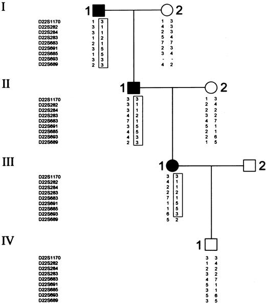 Fig. 3. Sebastian B family pedigree and typing for 10 chromosome 22 markers. / Circles represent females, and squares represent males. Open symbols denote unaffected family members; closed symbols denote affected family members. Critical recombination in family member III-1 define a 3-1-1-2-1-5-5-3 haplotype that is coinherited with the disease and that is not shared by the unaffected family members.