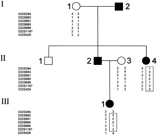Fig. 4. Epstein family pedigree and typing for 8 chromosome 22 markers. / Circles represent females, and squares represent males. Open symbols denote unaffected family members; closed symbols denote affected family members. Critical recombinations in family members III-1 define a 3-2-2-1-3 haplotype that is coinherited with the disease and that is not shared by the unaffected family members.