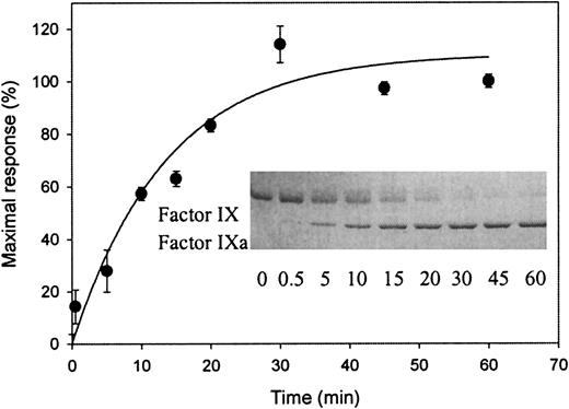 Fig. 2. Exposure of a binding site for LRP upon factor XIa–mediated activation of factor IX. / Factor XIa (final concentration of 16 nmol/L) was added to 3.2 μmol/L-factor IX in 20-mmol/L HEPES (pH 7.4), 150-mmol/L NaCl, and 0.005% (vol/vol) Tween 20 at 37°C. Aliquots (5 μL) were drawn at indicated intervals and diluted 10-fold in the same buffer containing 10-mmol/L benzamidine. These diluted samples were subjected to SPR analysis using immobilized LRP (13 fmol/mm2) equilibrated in 20-mmol/L HEPES (pH 7.4), 150-mmol/L NaCl, 2-mmol/L CaCl2, 0.005% (vol/vol) Tween 20, and 10 mmol/L benzamidine at a flow rate of 5 μL/min. Maximal response (RU), corrected for bulk refractive index changes and nonspecific binding, is shown for the samples obtained at different time intervals. Data represent the mean ± SD of 3 experiments. (Inset) Aliquots (25 μL) were drawn simultaneously with those used for SPR analysis and added to 8 μL of 0.25-mol/L Tris (pH 6.8), 8% (wt/vol) SDS, 40% (vol/vol) glycerol, and 0.04% (wt/vol) bromophenol blue. Nonreduced samples (12 μL, corresponding to 1.6 μg of factor IX) were subjected to electrophoresis on a 7.5% (wt/vol) SDS-polyacrylamide gel. Proteins were visualized by staining with Coomassie blue brilliant. The positions of factor IX and factor IXa are indicated. The sample at t = 0 for both SPR and gel electrophoresis analysis refers to 90 minutes of incubation at 37°C without the addition of factor XIa.
