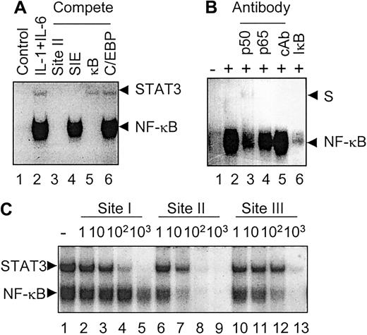 Fig. 5. IL-1β-activated protein complexes contain NF-κB p65 and p50 factors. / (A) Competition EMSA. Nuclear extracts were prepared from rat primary hepatocytes co-stimulated with IL-1β and IL-6. The different probes used in competition EMSAs are indicated as: Site II, γ fibrinogen site II probe; SIE, mutant 67 of the serum inducible element onc-fos gene promoter, which has a strong binding affinity for STAT3; NF-κB, NF-κB binding site on the immunoglobulin κ chain enhancer; C/EBP, CAAT-enhancer binding protein binding site on the IL-6 gene promoter. Competition EMSAs and the DNA sequences of these probes are described in “Materials and methods.” (B) Analyses of IL-1-induced protein complexes with antibodies and IκBα protein. Nuclear extracts were prepared from rat primary hepatocytes stimulated with IL-1β. The antibodies and reagents are indicated. The supershift assays were performed as described in “Materials and methods.” For IκBα treatment, nuclear extract was preincubated with 1 ng of recombinant IκBα prior to EMSA. (C) Cross-competition EMSA. Radio-labeled α2MG probe was used in the binding assay together with the indicated molar excess of unlabeled site I, site II, and site III probes for cross-competition. The arrows on the left indicate the migration position of STAT3 and NF-κB complexes.