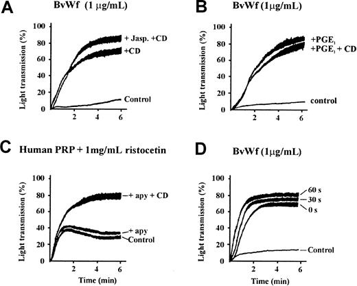 Fig. 5. Cytochalasin D enhances vWf-induced platelet aggregation independent of actin filament severing or ADP. / (A) Washed platelets (3 × 108/mL) were preincubated with vehicle alone (control) or 5 μmol/L jasplakinolide (+ Jasp), and/or 5 μmol/L CD (+CD) for 10 minutes, prior to aggregation with 1 μg/mL BvWf. All aggregations were performed in the presence of 2 mmol/L EDTA. The aggregation tracings are from 1 experiment representative of 4 independent experiments performed in triplicate. (B) Washed platelets were preincubated with vehicle alone (control), 0.5 μg/mL PGE1 (+ PGE1) or PGE1 and 5 μmol/L CD (+ PGE1 + CD), then aggregated with BvWf (1 μg/mL). The tracings shown are from 1 experiment, representative of 5 independent experiments. (C) PRP was preincubated with either vehicle alone (control) or 5 μmol/L CD (+CD) for 10 minutes in the presence (+ apy) or absence of 0.5 U/mL apyrase. Aggregation of platelets was initiated with 1 mg/mL ristocetin. All aggregations were performed in the presence of anti-β3 antibody, c7E3 Fab (20 μg/mL), to prevent vWf binding to integrin αIIbβ3. The aggregation tracings are from 1 experiment representative of 4 individual experiments performed in duplicate. (D) Washed platelets were preincubated with either vehicle alone (control) or 5 μmol/L CD for 0, 30, or 60 seconds, then aggregated with 1 μg/mL BvWf. All aggregations were performed in the presence of 2 mmol/L EDTA to block ligand binding to integrin αIIbβ3. The aggregation tracings are from 1 experiment representative of 5 individual experiments performed in duplicate.