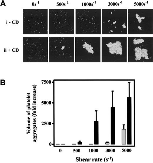 Fig. 6. Cytochalasin D enhances shear-induced platelet aggregation. / (A) Washed platelets (1.5 × 108/mL) were incubated with either vehicle alone (−CD, i) or 5 μmol/L CD (+CD, ii) in the presence of HvWf (10 μg/mL). Platelets were then exposed to the indicated shear rates in a cone-and-plate viscometer as described under “Materials and methods.” Platelets were then fixed, stained with 1 μmol/L DiOC6, mounted onto glass slides, and subjected to confocal microscopy (20 × objective). The 3-dimensional images of aggregated platelets were reconstructed using Voxblast (Vaytek Inc). Results presented are from 1 experiment, representative of 5 independent experiments. (B) Platelet aggregates from 8 random fields (10 × objective) were subjected to volumetric analysis, and the extent of aggregation was expressed as the fold increase in the volume of aggregates over that detected for Me2SO-treated control platelets. Results are the mean ± SE from 5 experiments. ░, buffer; ▪, 5 μmol/L CD.