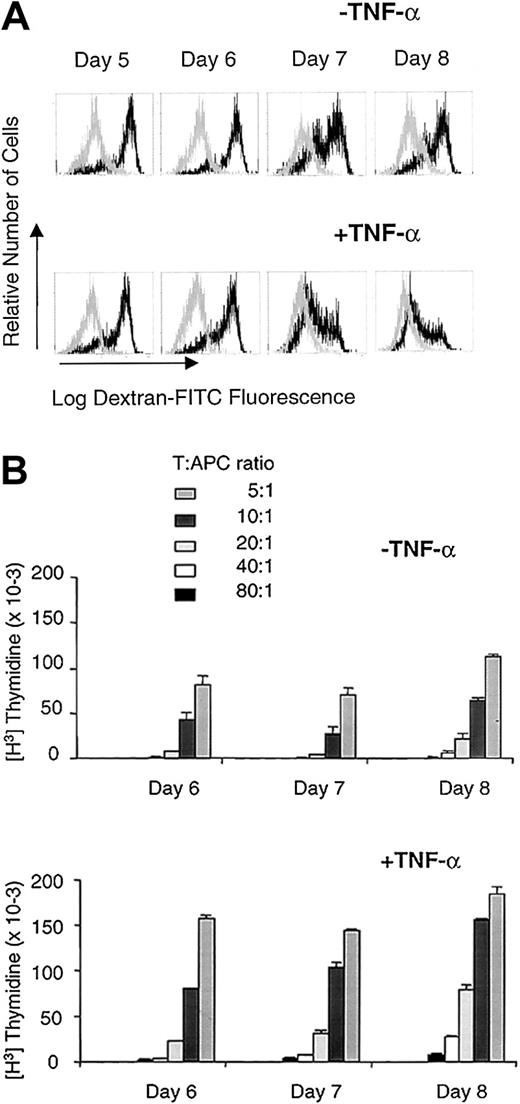 Fig. 2. At least 4 days of exposure to TNF-α are required for full maturation of DCs. / (A) Accumulation of DX-FITC in DCs. Immature DCs (top panel) cultured for 8 days in IL-4 and GM-CSF, or mature DCs (bottom panel) cultured for 4 days in IL-4 and GM-CSF plus 4 days in IL-4 and GM-CSF and TNF-α, were evaluated for their ability to endocytose DX-FITC as a function of time of exposure to TNF-α. For mature DCs, day 5 represents 1 day of exposure to TNF-α; day 6, 2 days of exposure to TNF-α; day 7, 3 days of exposure to TNF-α; and day 8, 4 days of exposure to TNF-α. The dark line represents DX-FITC uptake by samples incubated at 37°C, whereas the light line depicts DX-FITC uptake by samples incubated at 4°C as a negative control. These results are representative of 3 separate experiments with 3 different donors. (B) CD4+ T-cell stimulatory capacity of irradiated immature DCs (top) or mature DCs (bottom) in an allogeneic mixed lymphocyte reaction, when harvested at days 6, 7, and 8 of their culture as described in panel A. Frozen aliquots of responder CD4+ T cells from the same allogeneic donor were used for each time point. These results are the mean of triplicate wells and are representative of 2 different experiments.