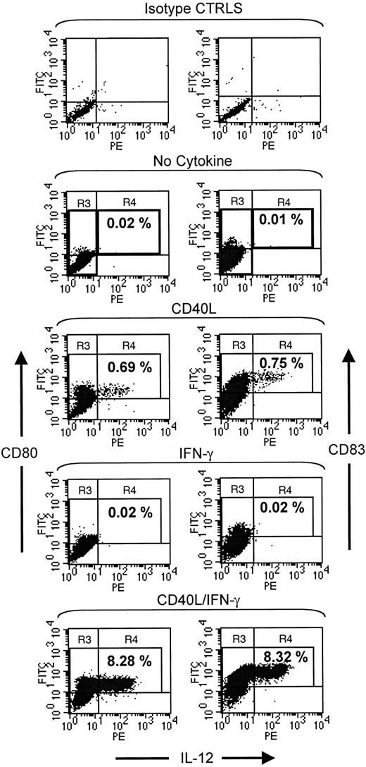 Fig. 3. CD40L/IFN-γ induces IL-12 production specifically from CD80-bright and CD83-bright dendritic cells. / Monocyte-derived DCs were thawed and plated in 1 mL AIM V medium with no added cytokine, or with 1 μg/mL CD40 ligand (CD40L) alone, 1000 U/mL IFN-γ alone, or both 1 μg/mL CD40L and 1000 U/mL IFN-γ. Cells were incubated for 12 hours, 10 μg/mL brefeldin A was added, and incubation was continued for another 7 hours before cell harvest, fixation, and permeabilization. Cells were stained with α-CD11c-FITC, α-CD80 or α-83-PE, α-CD14-PerCP, and α-IL-12-APC. The fluorescence intensity of DCs stained with isotype control antibodies (used to construct regions) is shown in the upper panel. For the remaining scatter diagrams, 25 000 large, CD11c+/CD14− cells analyzed by flow cytometry are shown, and the indicated percentage represents the frequency of CD83+IL-12+ DCs. R3 and R4 denote the regions containing IL-12− and IL-12+ DCs; they are emboldened in the first graph of each set for the sake of clarity. The CD80 and CD83 data are representative of 4 and 11 experiments with similar results, respectively.