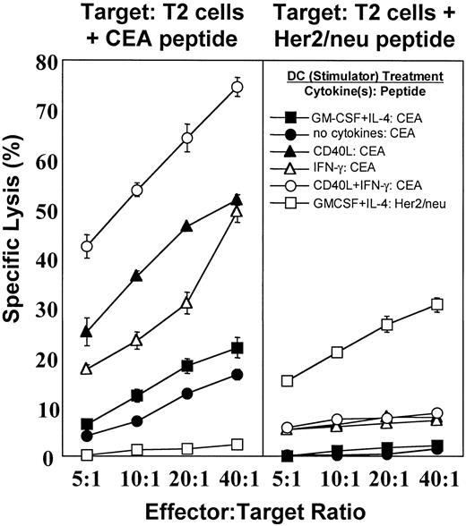 Fig. 5. Stimulatory activity of DCs pulsed with CEA peptide after treatment with various cytokines. / DCs, either untreated or treated with various cytokine combinations, were pulsed with CEA peptide (Cap-1) or Her2/neu peptide (each at 25 μg/mL) for 2 hours at 37°C in the presence 3 μg of β2-microglobulin. DCs were washed and were used as stimulators for autologous nonadherent PBMCs. Cells were cultured in the presence of IL-7 (10 ng/mL) and IL-2 (20 U/mL) for 12 days, followed by isolation of CD8+ T cells. The CD8+ T cells were restimulated with the corresponding DCs in the presence of IL-7 and IL-2. The CTL assay was performed 5 days after restimulation. T2 cells pulsed with CEA peptide or Her2/neu peptide were used as targets. Data are expressed as the mean percentage specific lysis of triplicate samples ± SD.