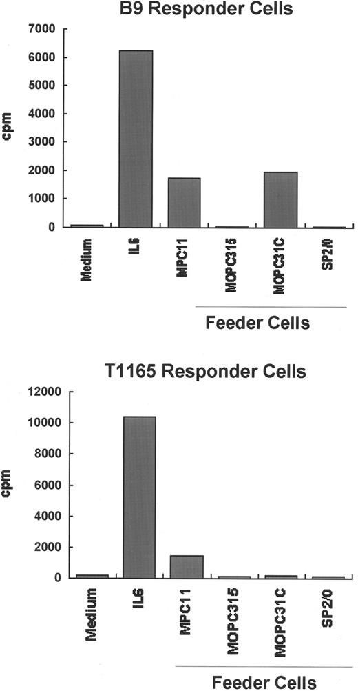 Fig. 6. Ability of IL-6–independent cell lines to support the growth of IL-6–dependent cell lines. / The IL-6–dependent cell lines B9 and T1165 were independently cultured (1 × 104 cells/200 μL) with medium alone or medium containing 2 × 104 irradiated (8.0 Gy) IL-6–independent plasmacytoma/hybridoma cells (MPC11, MOPC31C, MOPC315, or SP2/0) as feeders. Twenty-four (T1165 cells) or 72 hours (B9 cells) later, the cells were pulsed with 3H-thymidine for an additional 4 hours, and the radioactivity incorporated into DNA was determined. MPC11 cells, which are known to produce small amounts of IL-6, were included as a positive control.