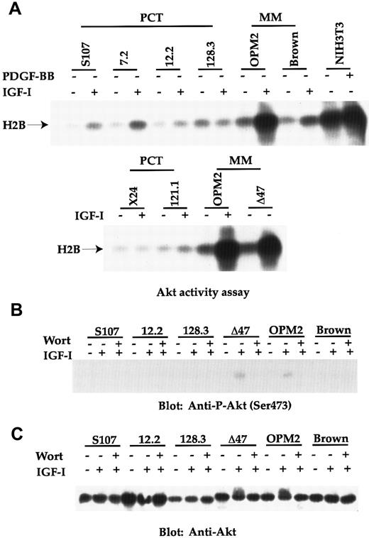 Fig. 2. Akt activity is greatly induced in the 2 human MM lines (OPM2 and Δ47), but not in any mouse PCT lines. / (A) Cell lines were serum starved for 2 hours and either untreated or stimulated with either IGF-I (100 ng/mL) or PDGF-BB (100 ng/mL) for 10 minutes. Equivalent amounts of cell lysates from each sample were immunoprecipitated with anti-Akt serum. Washed immunoprecipitates were subjected to an Akt activity assay using Histone H2B as substrate. The kinase reaction was separated by 12% SDS-PAGE and transferred proteins on Immobilon P were detected by autoradiography. Phosphorylated Histone H2B is indicated. (B) Cell lines were similarly treated as in panel A. When wortmannin (100 nmol/L; abbreviated as wort in the figure) was used, it was added 20 minutes before IGF-I stimulation. Equivalent amounts of cell lysates were subjected to a SDS-PAGE. Transferred proteins were immunoblotted with anti–P-Akt (Ser473). (C) The same Immobilon P derived from panel B was reblotted with anti–Akt antibody.