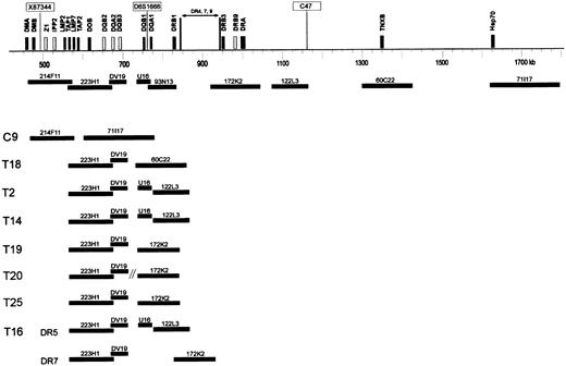 Fig. 4. DNA fiber FISH detection of HLA-DQ and -DR deletions. / Schematic representation of part of the HLA class II and class III region of a DR 4, 7, or 9 haplotype, showing the approximate localization of clones used for fiber FISH. Black bars represent expressed genes, and white bars represent pseudogenes in the class II region. Microsatellite markers X87 344, D6S1666, and C47 are boxed. DNA-fiber FISH of 8 extranodal lymphoma cases with various deletions in the HLA class II region is depicted. In all cases except case T16, 1 allele contained a deletion involving all used probes. In these cases, the allele with a small deletion is shown. In case T16, both alleles DR5 and DR7 contained a deletion as illustrated.