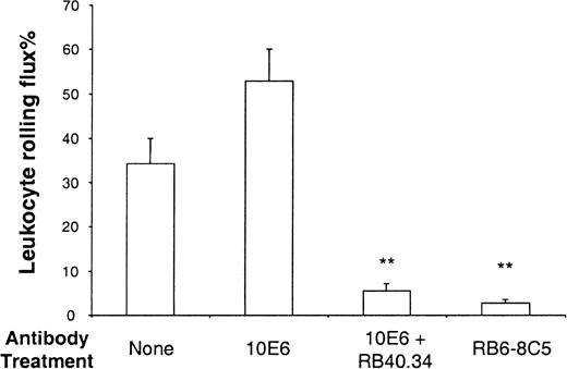 Fig. 3. Leukocyte rolling in TNFα-stimulated venules. / Leukocyte rolling was observed in venules stimulated for 2.5 hours with TNFα. Rolling before and after E-selectin mAb (10E6, 10 μg), E-selectin mAb plus P-selectin mAb (RB40.34, 10 μg), or antineutrophil mAb (RB6-8C5) were quantified and data are presented as mean ± SE. **Denotes significant difference (P < .01) from no mAb.