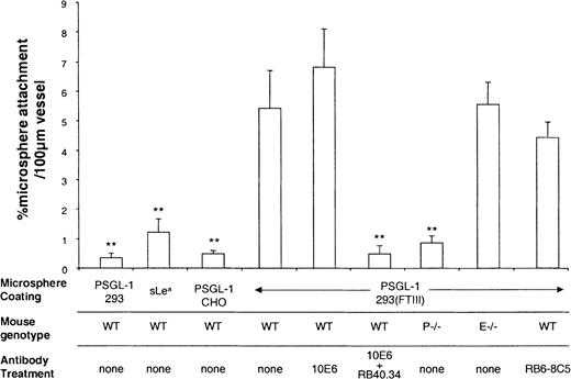 Fig. 4. Microsphere attachment in TNFα stimulated venules. / Attachment of differently coated microspheres was observed in venules stimulated with TNFα for 2.5 hours. Attachment efficiencies were quantified for wild-type (WT) mice, P-selectin knockout mice (P−/−), and E-selectin knockout mice (E−/−) and for mice treated with mAb against E-selectin (10E6, 10 μg), P-selectin (RB40.34, 10 μg), and neutrophils (RB6-8C5 10 μg). Data are presented as mean ± SE. **Denotes significant difference (P < .01) from PSGL-1(293/FTIII) in WT mice with no mAb.