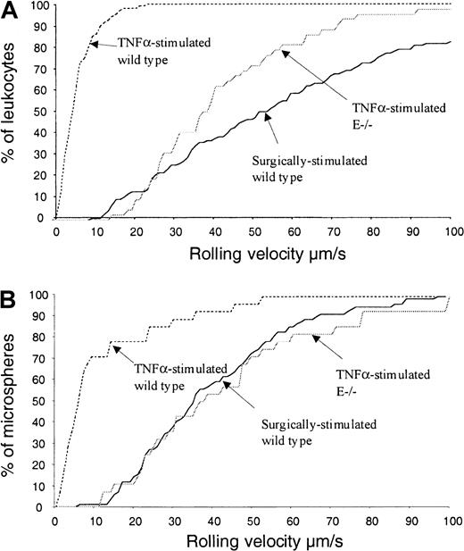 Fig. 5. Leukocyte and microsphere rolling velocities in differently stimulated venules. / Leukocyte (A) and microsphere (B) rolling velocities were measured in surgically stimulated wild-type mice, TNFα-stimulated wild-type mice, and TNFα-stimulated E-selectin knockout mice. Data are presented as cumulative velocity histograms.