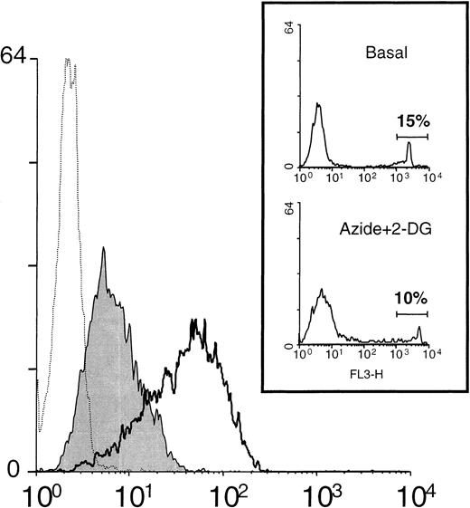 Fig. 4. Metabolic inhibitors induce the down-regulation of L-selectin expression. / Neutrophils were incubated in medium alone or in the presence of the metabolic inhibitors: azide 10 nmol/L and 2-DG 50 nmol/L. After 30 minutes at 37°C, the surface expression of L-selectin was assessed by flow cytometry as described in “Materials and methods.” A representative histogram is shown. Unshaded histogram represents basal expression of L-selectin in neutrophils incubated in medium alone; shaded histogram represents the L-selectin expression in the presence of metabolic inhibitors; and dotted histogram represents the negative control (P3X63 myeloma). Histograms shown in the inset represent the spontaneous uptake of propidium iodide by neutrophils incubated in the absence (Basal) and presence of metabolic inhibitors (Azide+2-DG). Numbers correspond to the percentage of positive cells (dead cells).