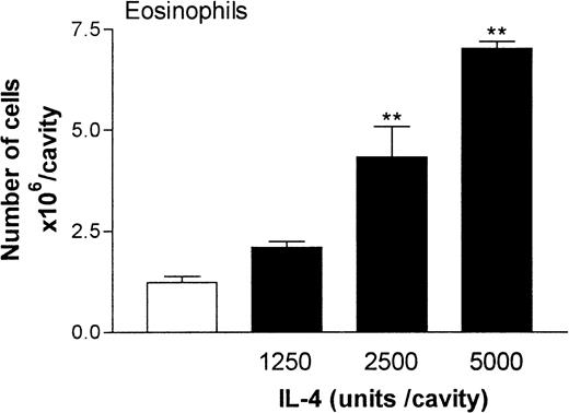 Fig. 2. Dose-response relation of IL-4–induced eosinophil accumulation in rat pleural cavities. / RPMI (100 μL/cavity; ■) or IL-4 (1250, 2500, or 5000 units/100 μL per cavity; ▪) was injected into rat pleural cavities, and eosinophil migration was quantified 24 hours later. Eosinophil accumulation is expressed as the number of cells × 106 per cavity, and the results are presented as the mean ± SEM value for 4 or 5 animals. A significant difference (P < .001) from levels in RPMI-treated rats is indicated by 2 asterisks.