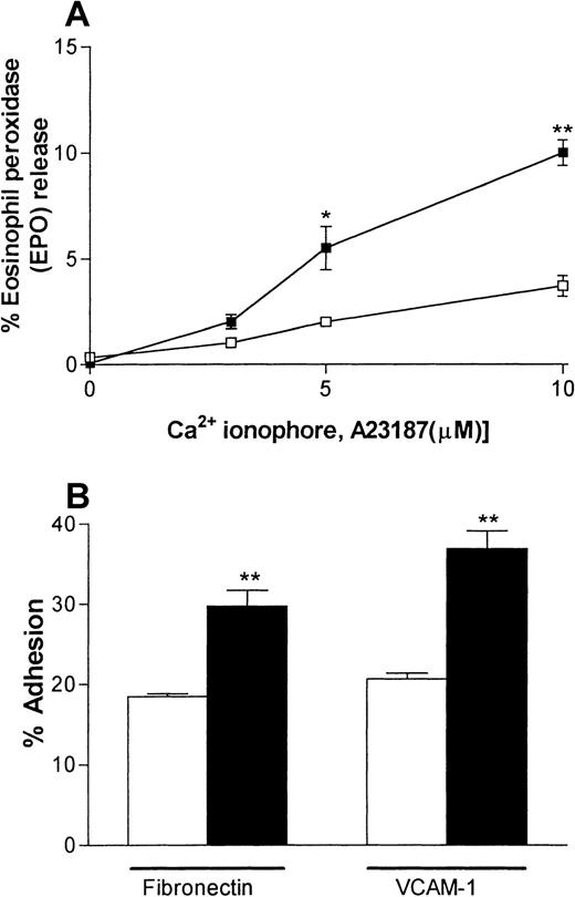 Fig. 4. IL-4–elicited pleural eosinophils show enhanced responsiveness in vitro. / Eosinophils were purified from pleural cavities of rats injected intrapleurally with IL-4 (5000 units/100 μL per cavity, ▪) or RPMI (100 μL/cavity, ■), and their degranulation (A) and adhesive responses (B) were quantified. Panel A shows the ability of rat pleural eosinophils to release eosinophil peroxidase (EPO) in response to the calcium ionophore A23187. Enzyme release is expressed as the percentage of total enzyme in cells lysed with Triton. Panel B shows the adhesion of rat pleural eosinophils to plates coated with fibronectin or recombinant soluble vascular cell adhesion molecule 1 (VCAM-1) (both 3 μg/mL). The results are presented as the mean ± SEM value for 3 animals per group in triplicate. A significant difference from levels in RPMI-treated rats is indicated by asterisks; 1 asterisk indicatesP < .01 and 2 indicate P < .001.