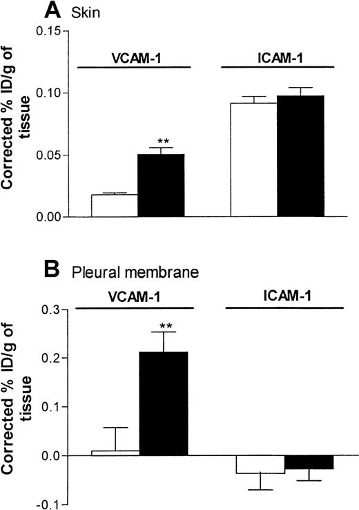 Fig. 7. Expression of VCAM-1 and intracellular adhesion molecule 1 (ICAM-1) in rat skin and pleural membranes as determined by the uptake of radiolabeled anti–VCAM-1 and anti-ICAM-1 mAbs, respectively. / Skin sites (A) and pleural cavities (B) were injected with RPMI (100 μL; ■) or IL-4 (5000 units/100 μL per cavity or site; ▪). Twenty-four hours later, the animals were injected with a mixture (25 μg each) of iodine 125–labeled 5F10 (anti–VCAM-1), technetium 99m–labeled 1A29 (anti–ICAM-1), and indium 111–labeled P1.17 (control mAb) 5 minutes before they were killed. The circulation was then perfused with phosphate-buffered saline to minimize the contribution of blood-pool activity to tissue-specific isotope counts. The pleura and skin sites were removed, weighed, and counted. Expression of adhesion molecules is indicated as the percentage of injected dose per gram of tissue (ID/g), corrected for the nonspecific uptake of the control mAb. Results are expressed as the mean ± SEM value for 7 or 8 rats per group. Two asterisks indicate a significant difference (P < .001) from uptake of antibodies in RPMI-treated sites.