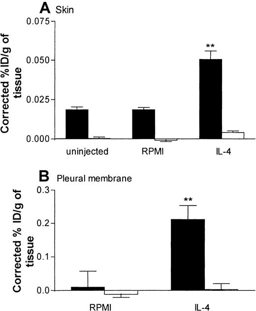 Fig. 8. Specific binding of radiolabeled anti–VCAM-1 mAb in rat skin and pleural membrane. / Panels A and B show the localization of radiolabeled anti–VCAM-1 mAb 5F10 in uninjected skin sites and skin sites injected with RPMI (100 μL) or IL-4 (5000 units/100 μL per site) and in pleural membranes after intrapleural administration of RPMI (100 μL) or IL-4 (5000 units/100 μL per cavity), respectively. In these experiments, localization of radiolabeled 5F10 was quantified in rats injected intravenously with the radiolabeled mAbs only (▪) and in rats injected with the radiolabeled mAbs and a 50-fold (1.25 mg of protein equivalent to 4.2 mg/kg) excess of unlabeled 5F10 (■). Expression of VCAM-1 in skin (A) and pleural membranes (B) is shown as the percentage of injected dose per gram of tissue (ID/g), corrected for the nonspecific uptake of the control mAb. Results are expressed as the mean ± SEM value for 6 to 8 animals (skin) or 3 to 7 animals (pleural membrane). Two asterisks indicate a significant difference (P < .001) from the uptake in uninjected skin sites or RPMI-treated pleural membranes.